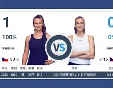 从里程碑夜孟菲斯灰熊回应争议到科维托娃关键节点爆冷，今夜夏洛特黄蜂单刀错失的简单介绍